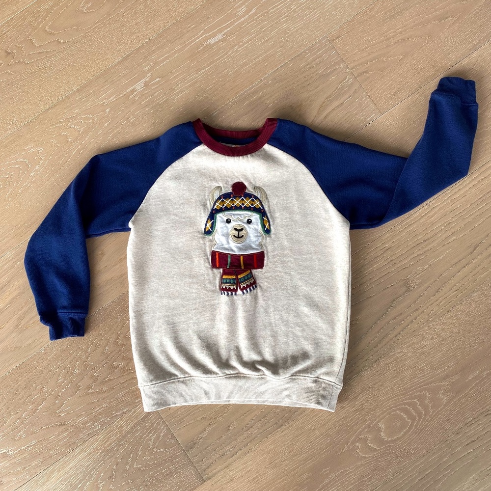 Gymboree Embroidered Sweatshirt